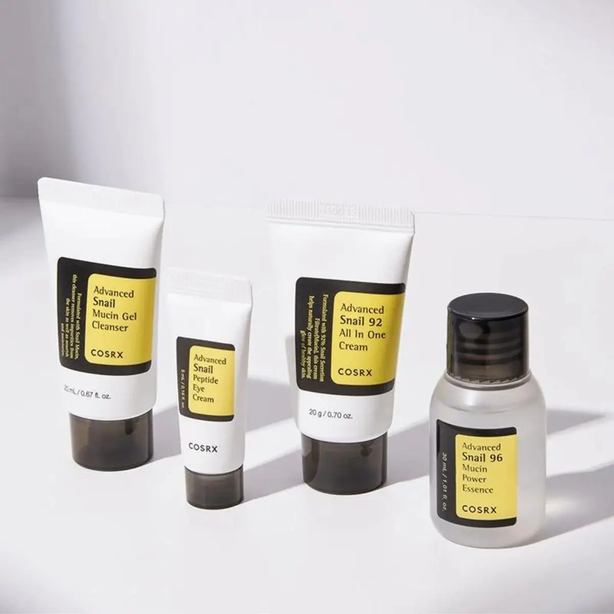 All About Snail Kit - Image 2