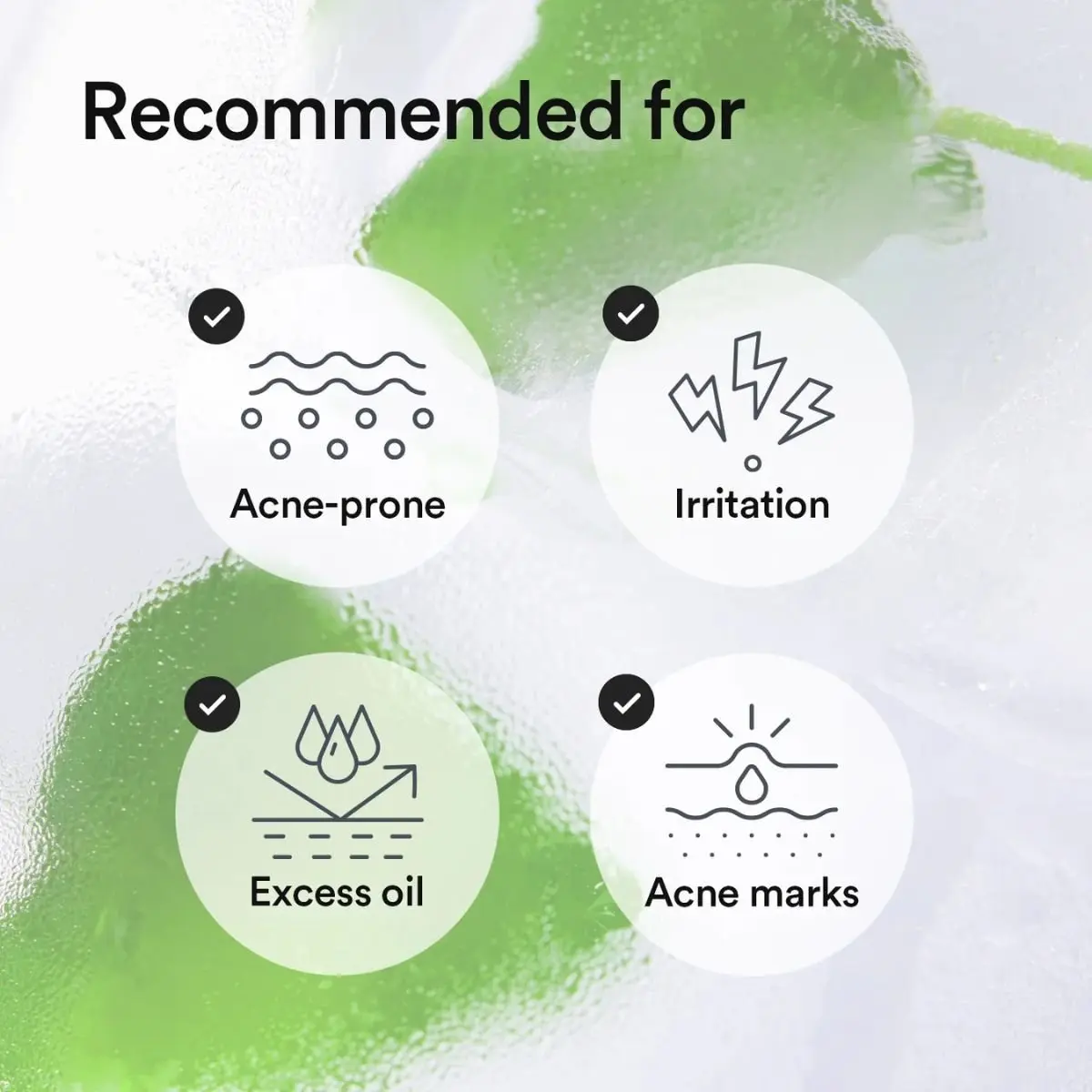 Heartleaf TECA Capsule Serum Calming Drop 50mL - Image 6